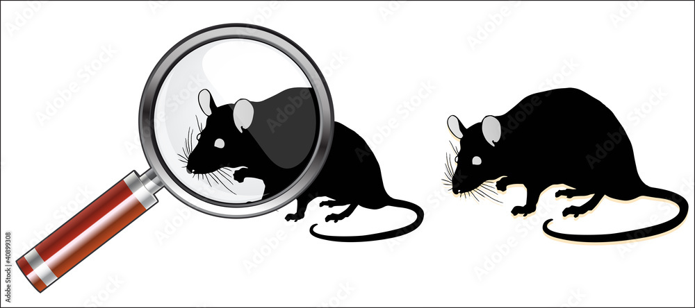 souris à la loupe Stock Vector | Adobe Stock