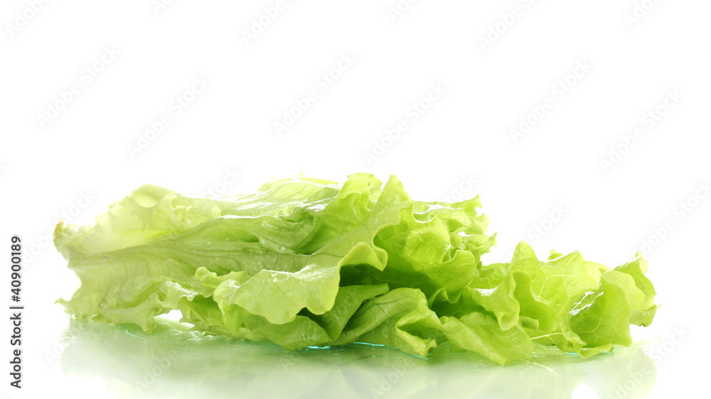 Fresh lettuce isolated on white Fresh lettuce isolated on white