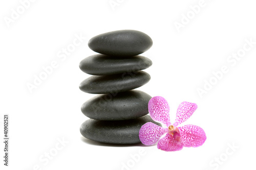 orchid and five black Stones balanced stones