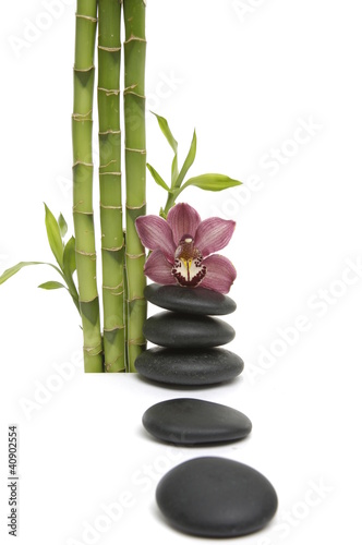 bamboo grove and orchid on pebble- spa concept