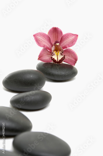 Spa concept. -Stones and pink orchid