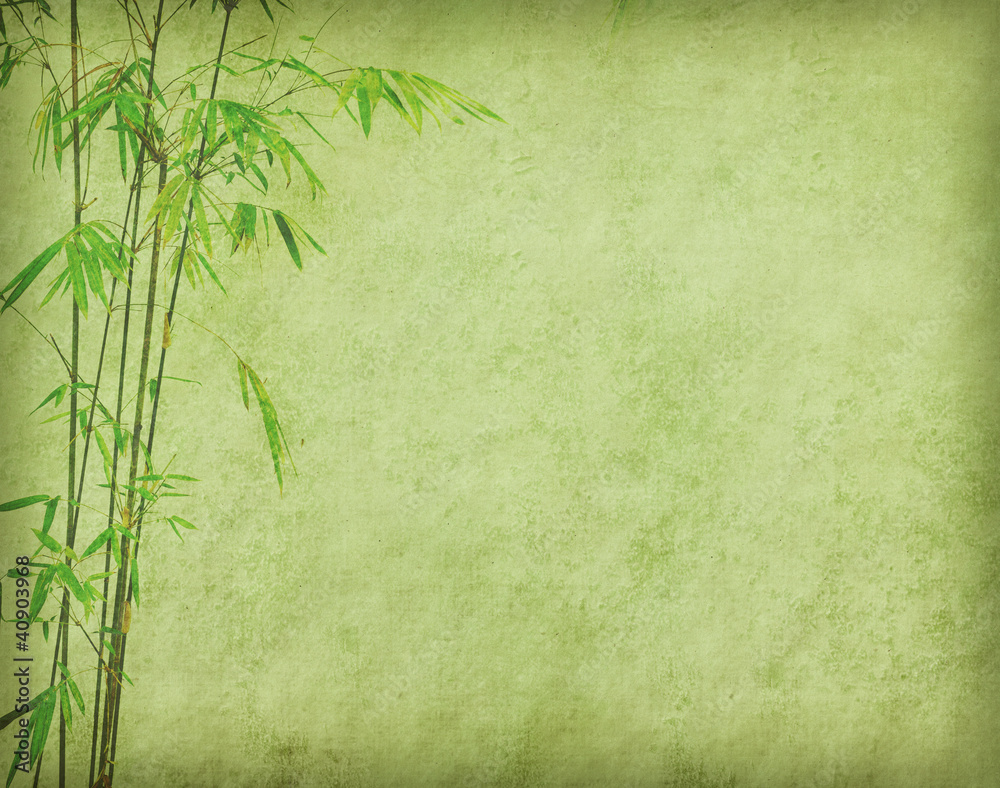 bamboo on old grunge antique paper texture bamboo on old grunge antique paper texture