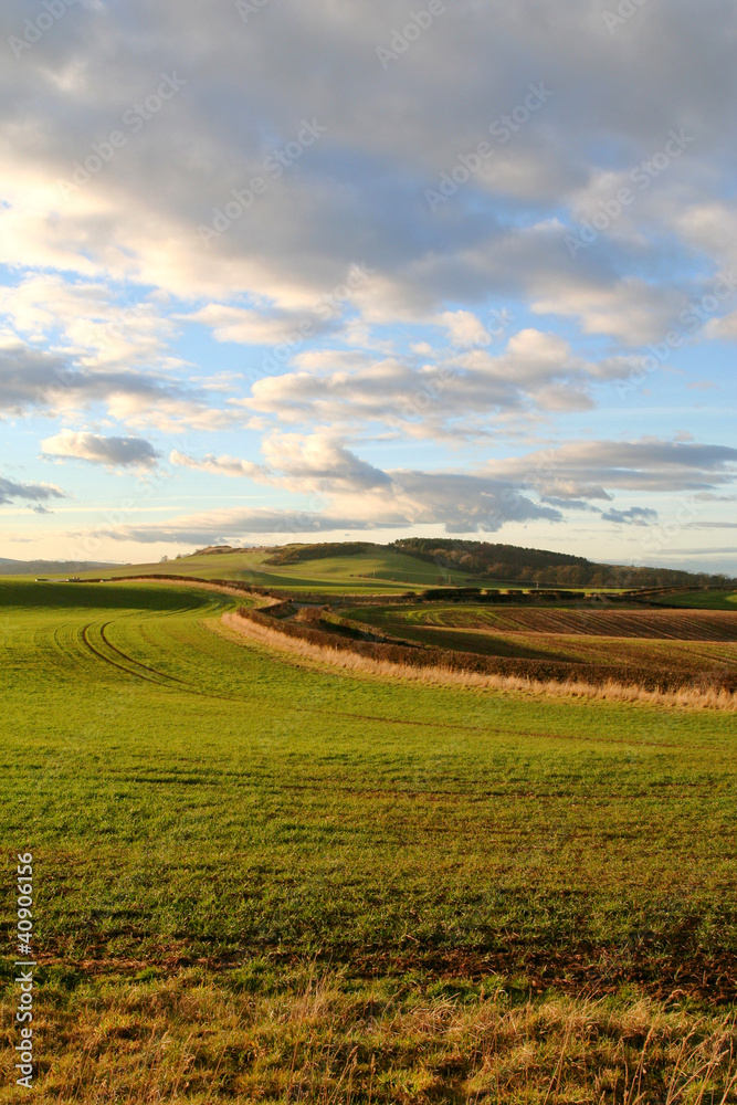 Northumbria Countryside.