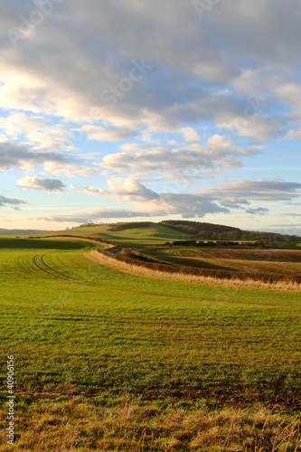 Northumbria Countryside.
