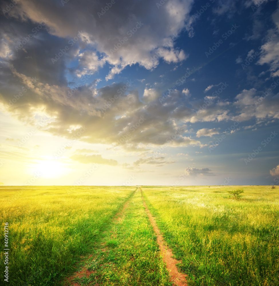 Lane in meadow and deep blue sky.