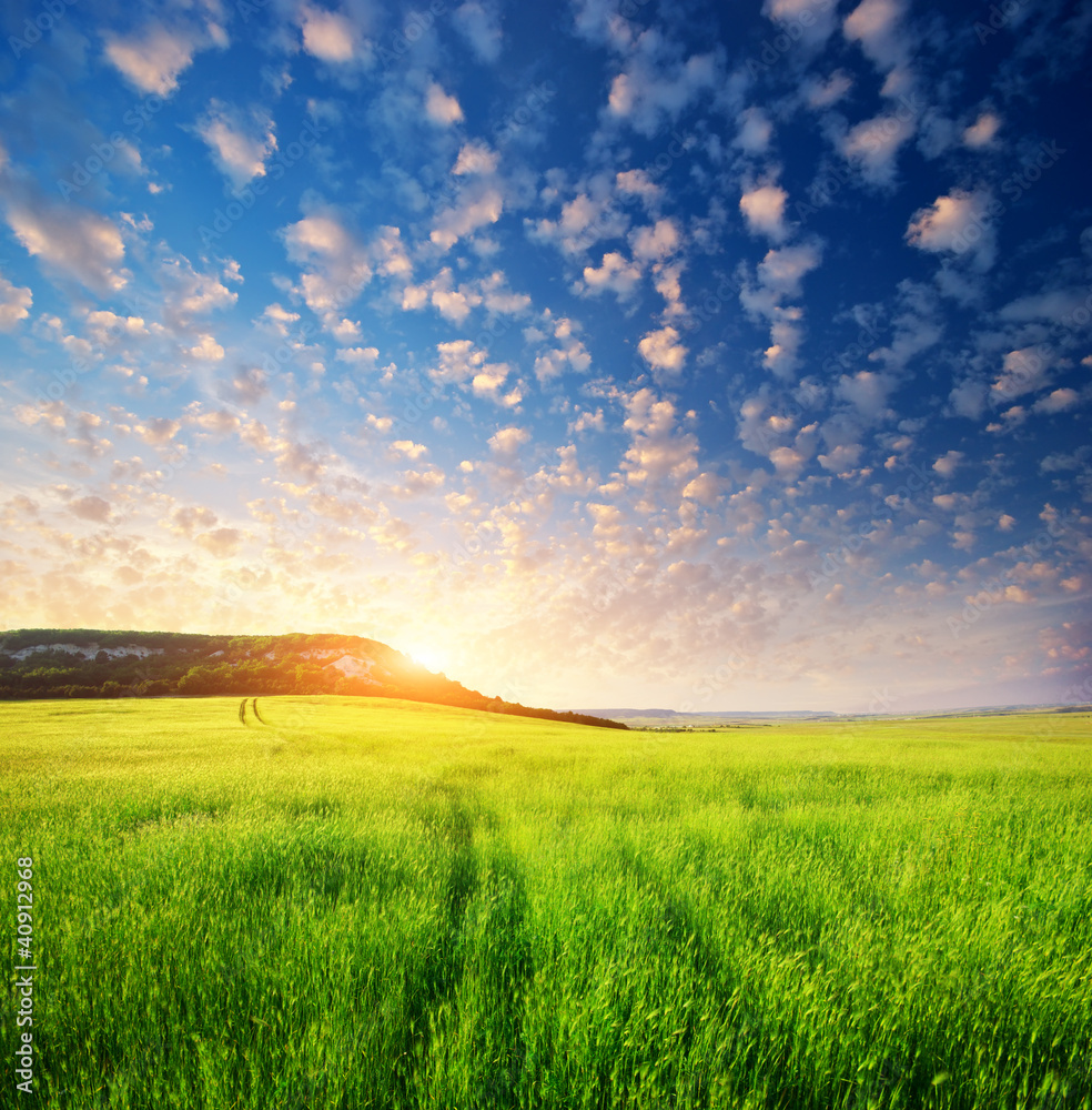 Beautiful landscape. Beautiful landscape.