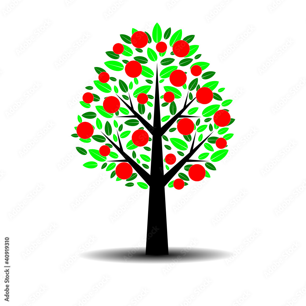 ALBERO FRUTTO