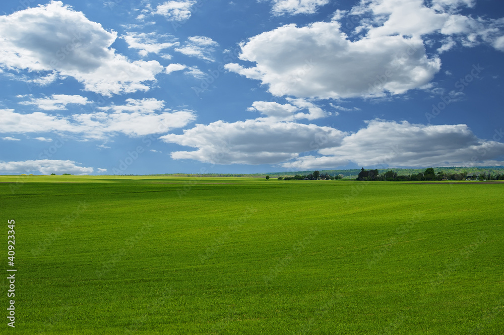 Landscape - sky and grass Landscape - sky and grass
