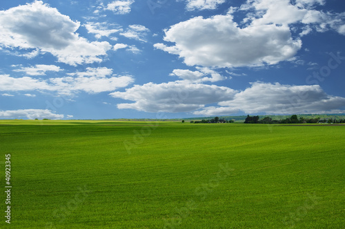 Landscape - sky and grass