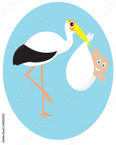 Stork with baby