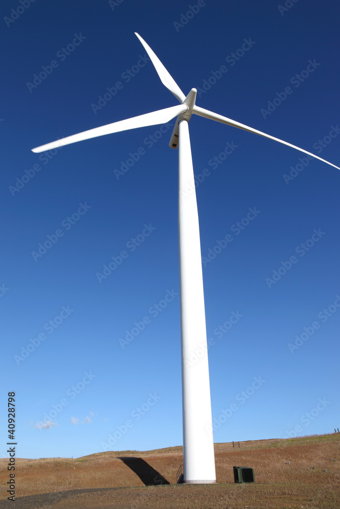 Wind energy, wind turbine in a field Washington state. Wind energy, wind turbine in a field Washington state.