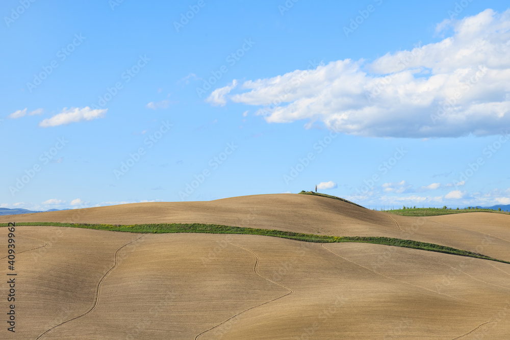 Tuscany, undulating plowed field rural landscape, Siena, Italy.