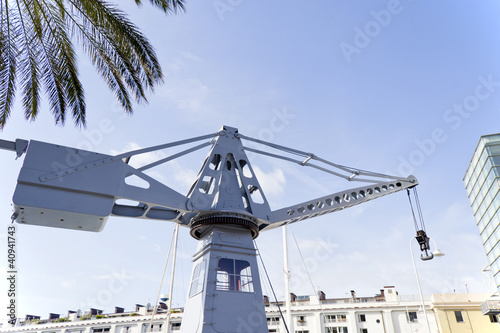 gru nel porto di Genova photo