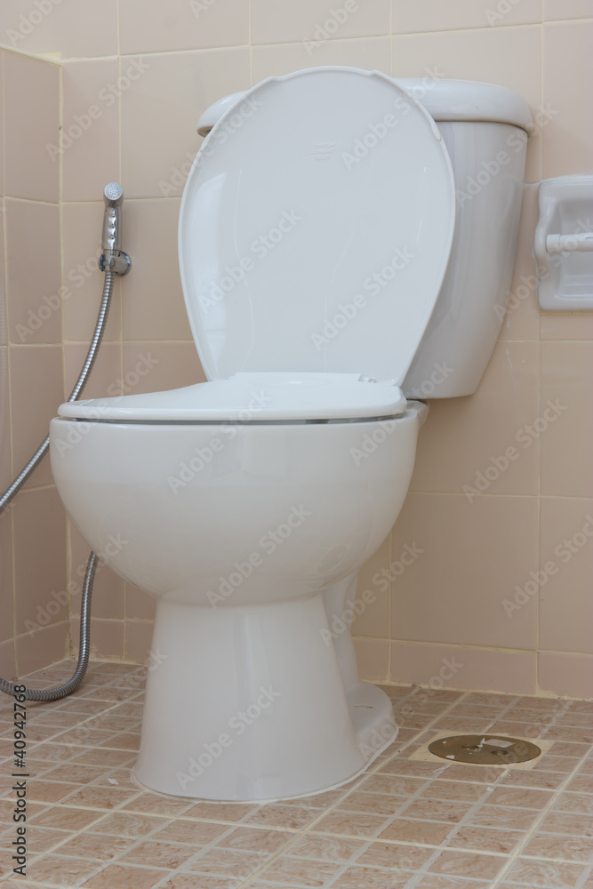 Home flush toilet Home flush toilet