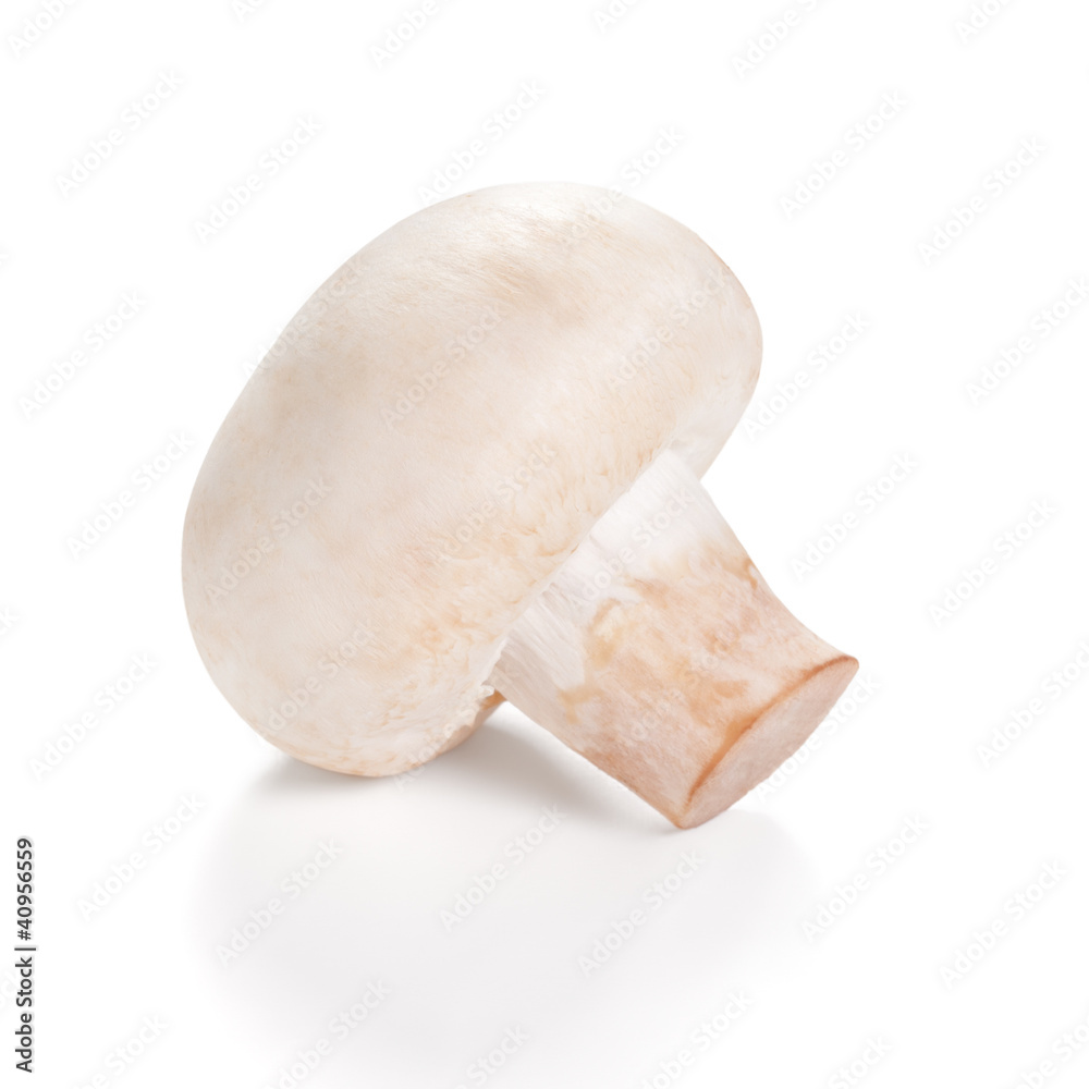 Fresh Mushrooms champignon Isolated on a white background Fresh Mushrooms champignon Isolated on a white background