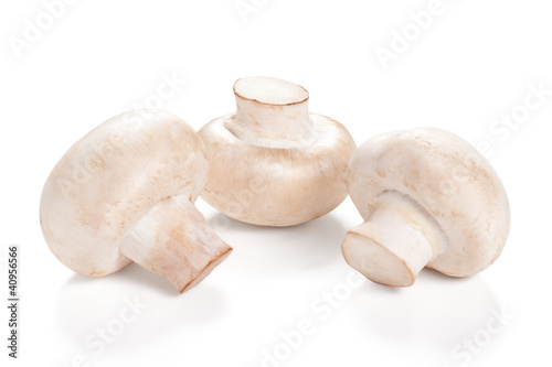 Fresh Mushrooms champignon Isolated on a white background