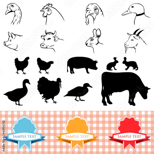 farm animals, vintage frame, labels food illustration