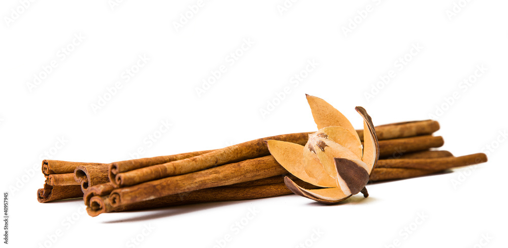 Composition of spices with cinnamon sticks isolated on white