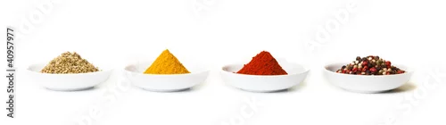 Obraz  z motywem Colorful spices in white pods isolated on white