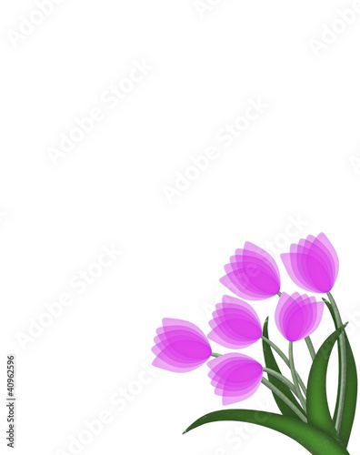 Tulip bouquet background