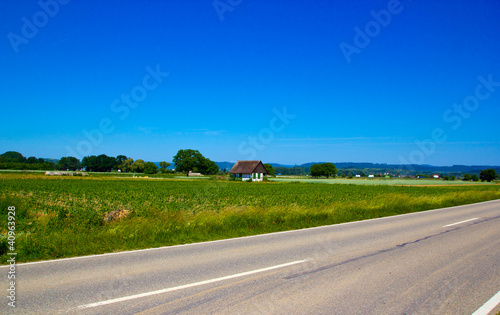 road at cornfield