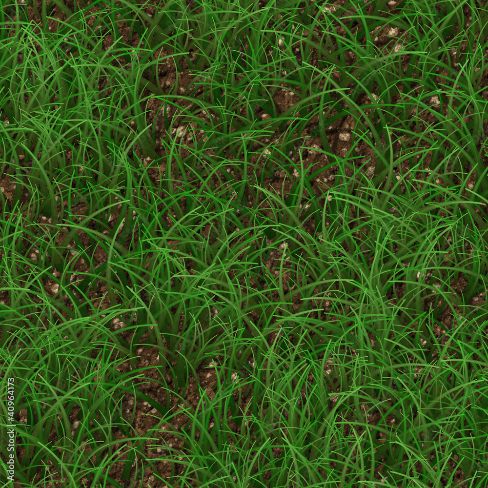 green grass green grass