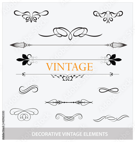 calligraphic vintage elemets and symbols set