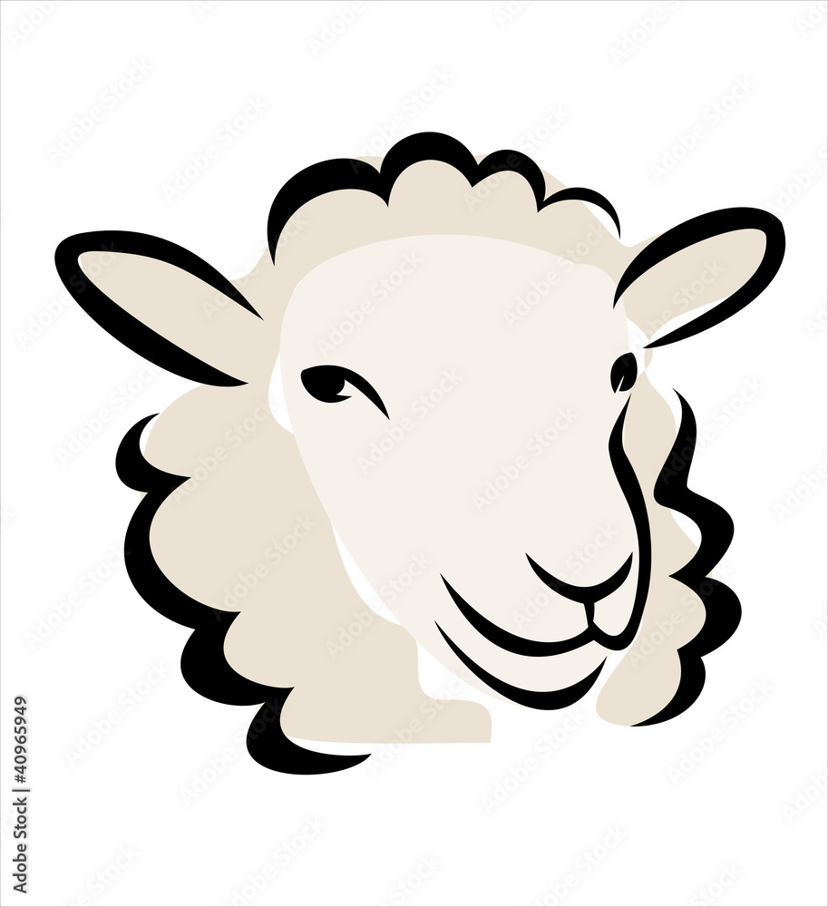 happy sheep portrait happy sheep portrait