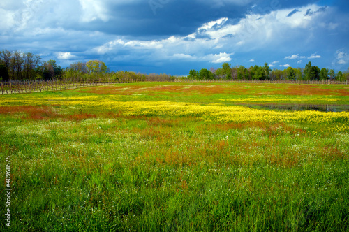 fallow field color image