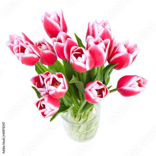 Fototapeta Naklejka Na Ścianę i Meble -  Beautiful red tulips are a top view