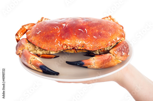 Whole crab