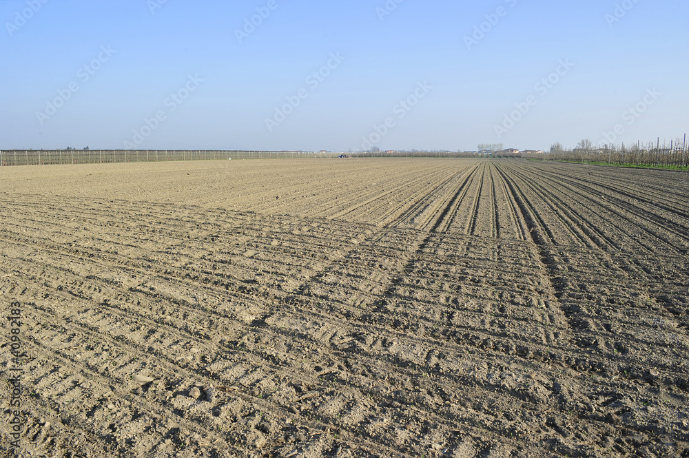 Agricoltura in campo