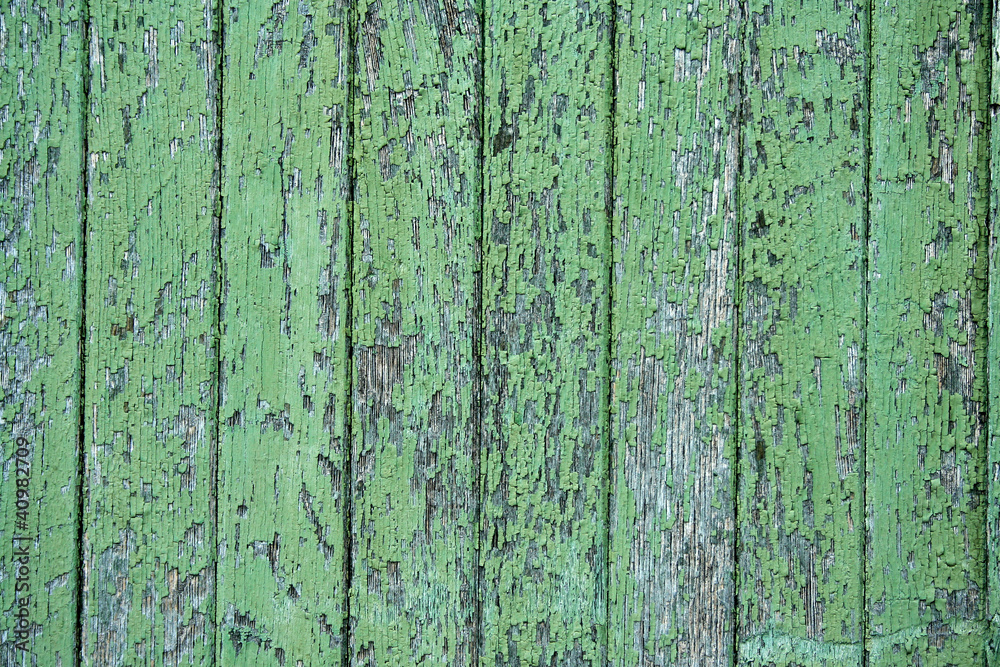 Green wood texture Green wood texture