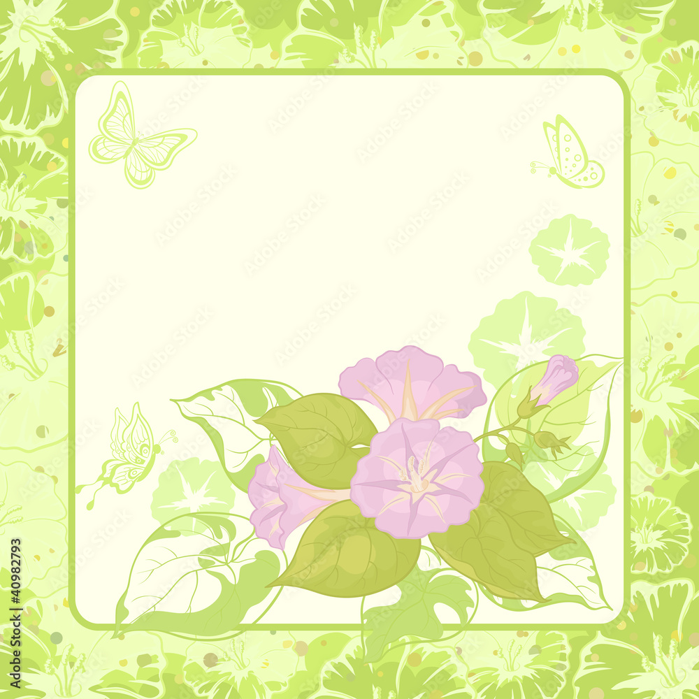 Floral background, Ipomoea