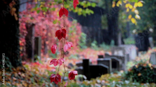 First snow at Jewish cemetery