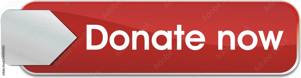 bouton donate now bouton donate now