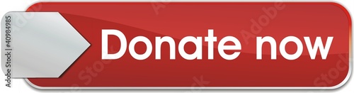 bouton donate now