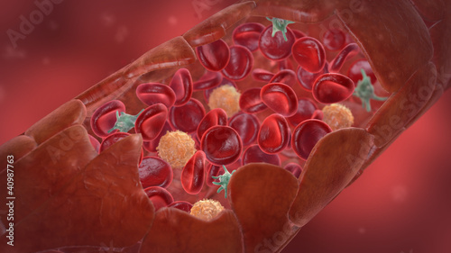 Blutbahn/Kapillare außen mit allen Blutzellen