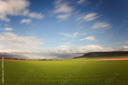 Campos verdes