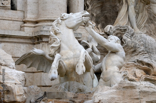Cavallo agitato, Fontana di Trevi, Roma