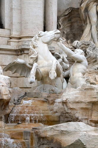 Cavallo agitato, Fontana di Trevi, Roma