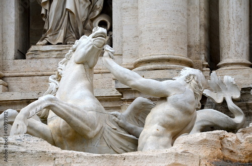 Cavallo agitato, Fontana di Trevi, Roma photo