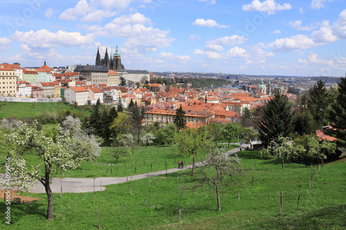 Spring Prague gothic Castle with the green Nature