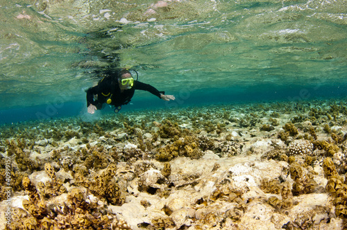 man scuba dives over coral reef
