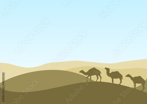camel caravan in sand desert