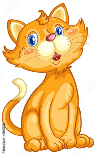 Cute cat