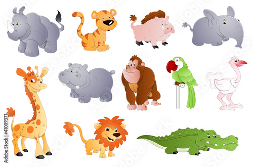 Cute Animals