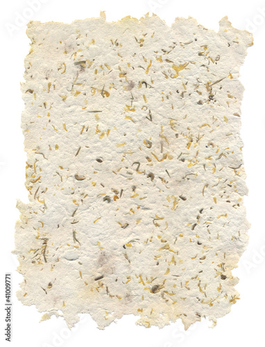 Handmade paper with seeds and petals inside