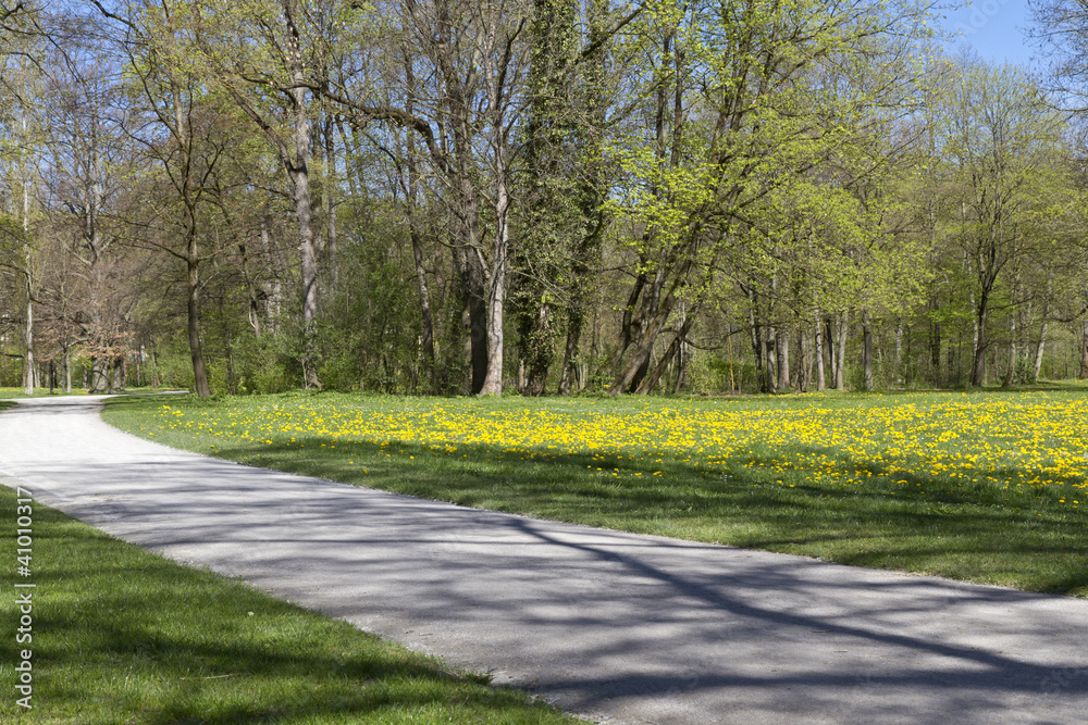 Obraz premium Der englische Garten in München im Frühjahr