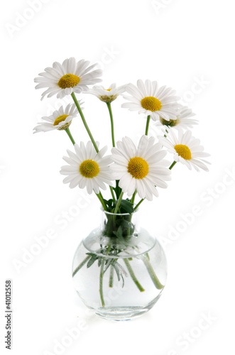 Fototapeta Naklejka Na Ścianę i Meble -  Margeriten in einer Vase
